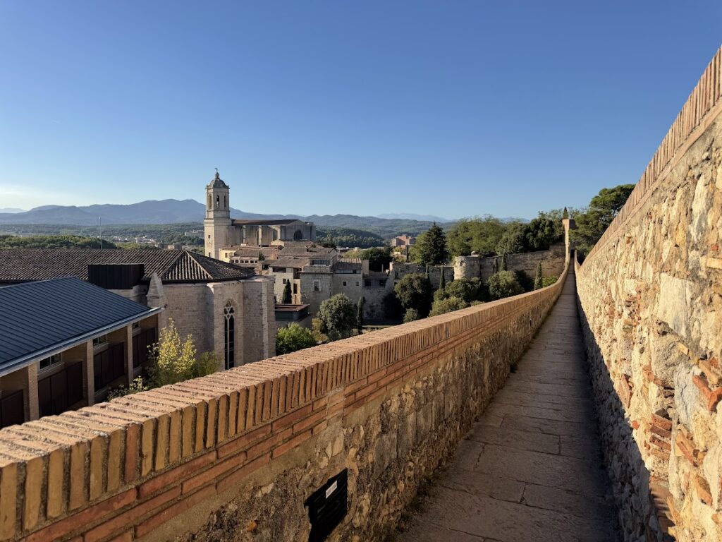 Auf dem Passeig de la Muralla: über die Dächer bis zur Kathedrale
